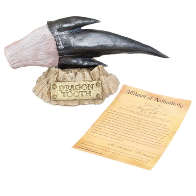 Dragon Tooth Artifact Replicas and Collectibles Harry Potter and Game of Thrones