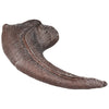 MR Velociraptor Claw Fossil Replica