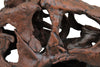 Smithsonian Nation's T. rex Tenth-Scale Fossil Skull Replica